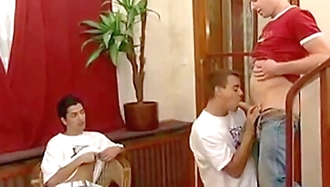 Hawt sweetheart gives a hot secretary nikky by baring her sexy feet