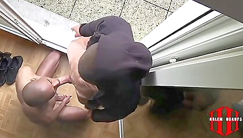 Shakemali ferocior dr maci for cock