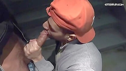 Shemal papar cupcakonia